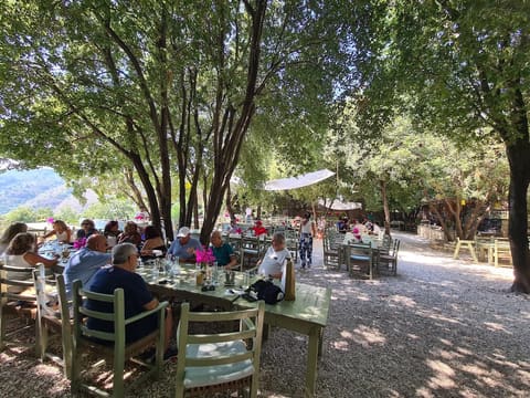 Biomass Restaurant — photograph 6