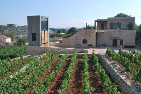 Atibaia Winery — photograph 3