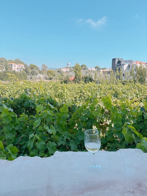 Atibaia Winery — photograph 4