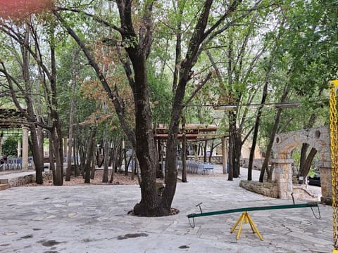 Ghabat Al Wadi — photograph 4