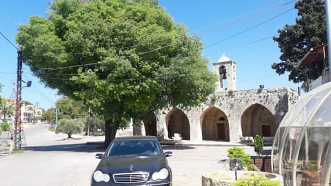 Simarona - Restaurant — photograph 2
