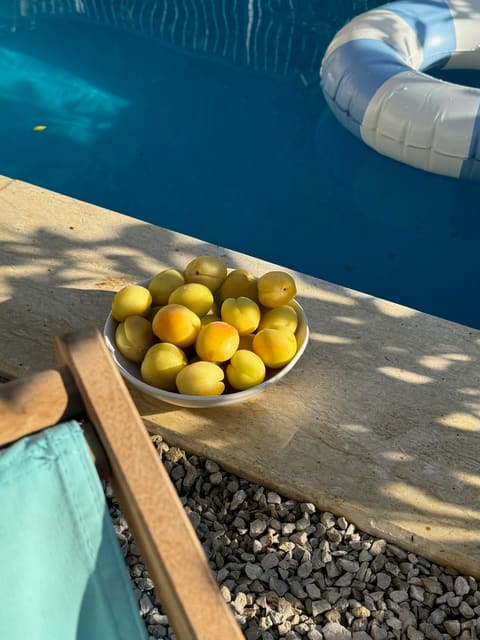SOWK Guesthouse | Smar Jbeil, Batroun — photograph 5