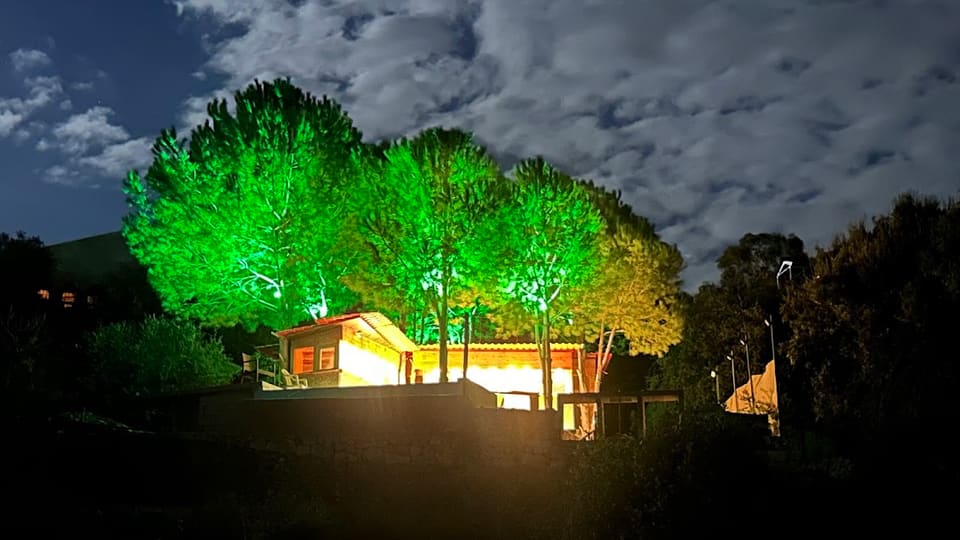 La Cachette Verte Treehouse