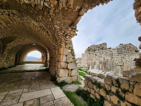 Smar Jbeil Citadel — photograph 4