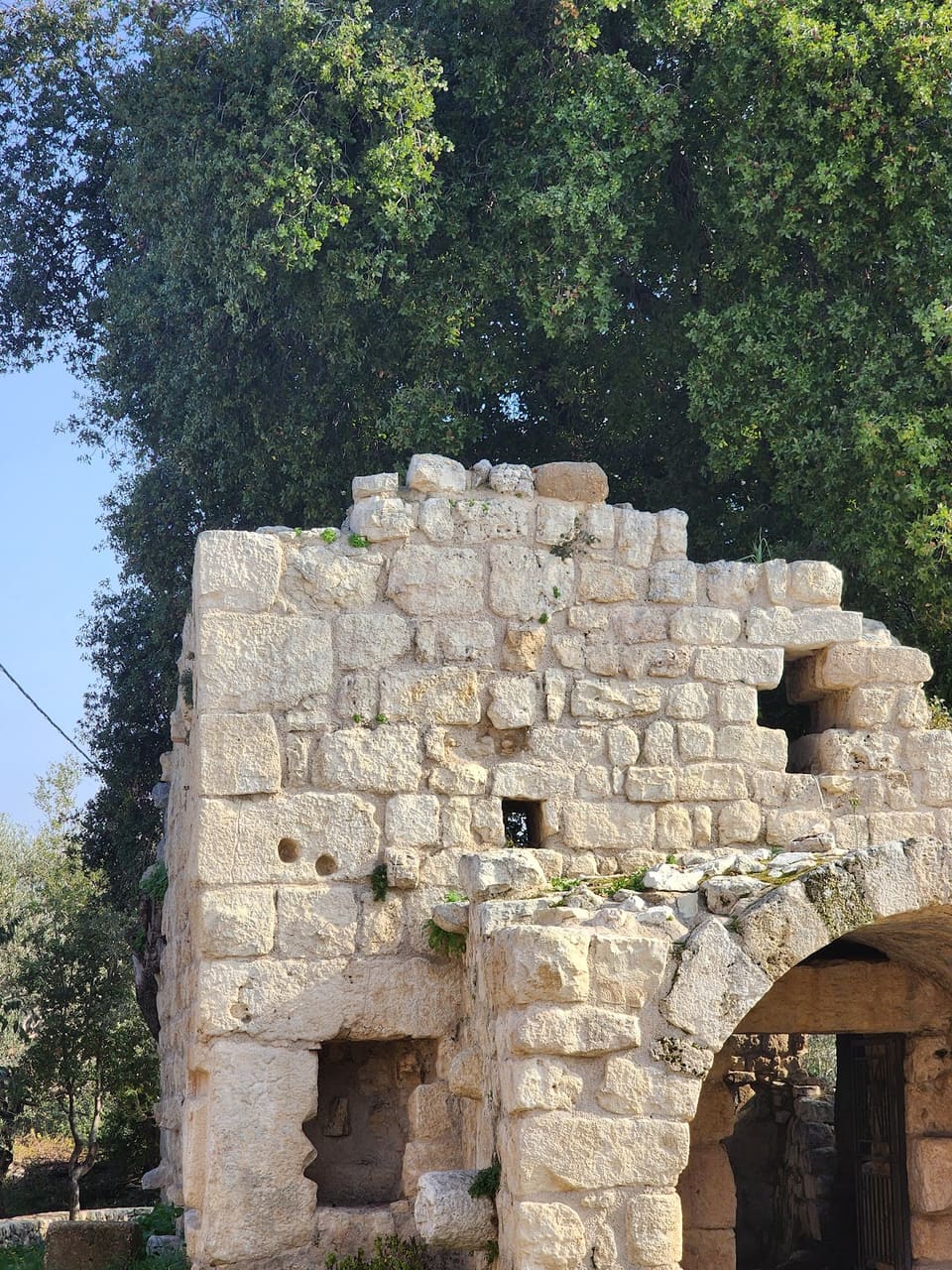 Roofless Cursader Church
