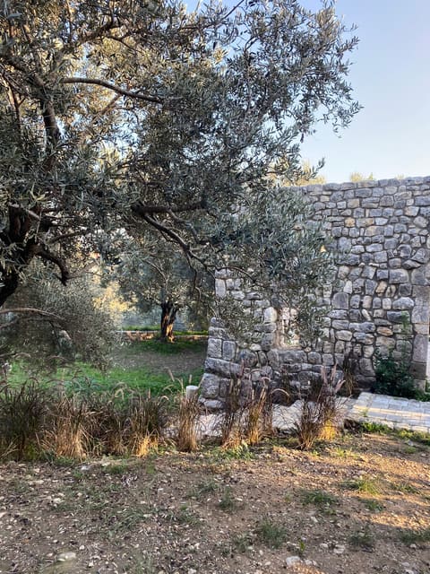 Roofless Cursader Church — photograph 3