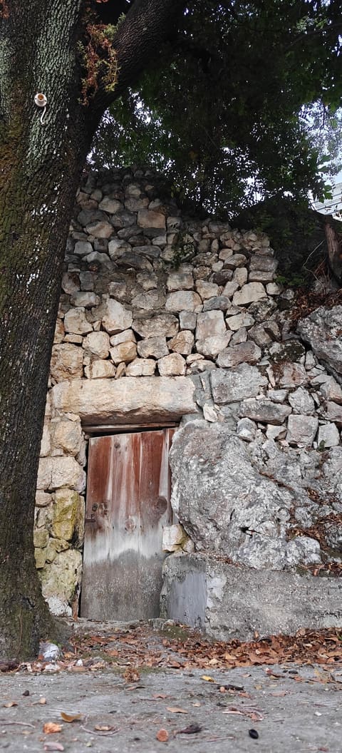 Saints Sarkis and Bachus church — photograph 2