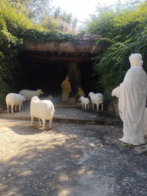 Mazar Em El Marahim - Marah El Zaiyat — photograph 6