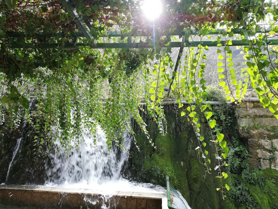 The Bridge