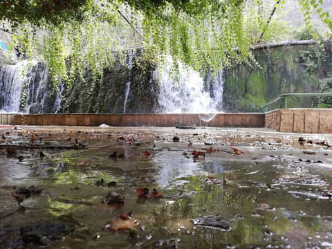 The Bridge — photograph 2