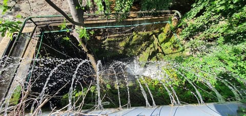 The Bridge — photograph 4