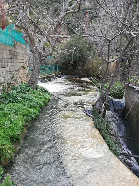 The Bridge — photograph 5