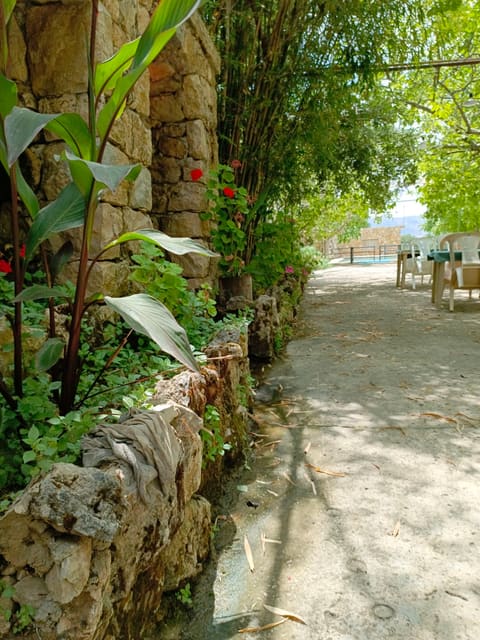 Montazah Qasr Al Joz — photograph 6