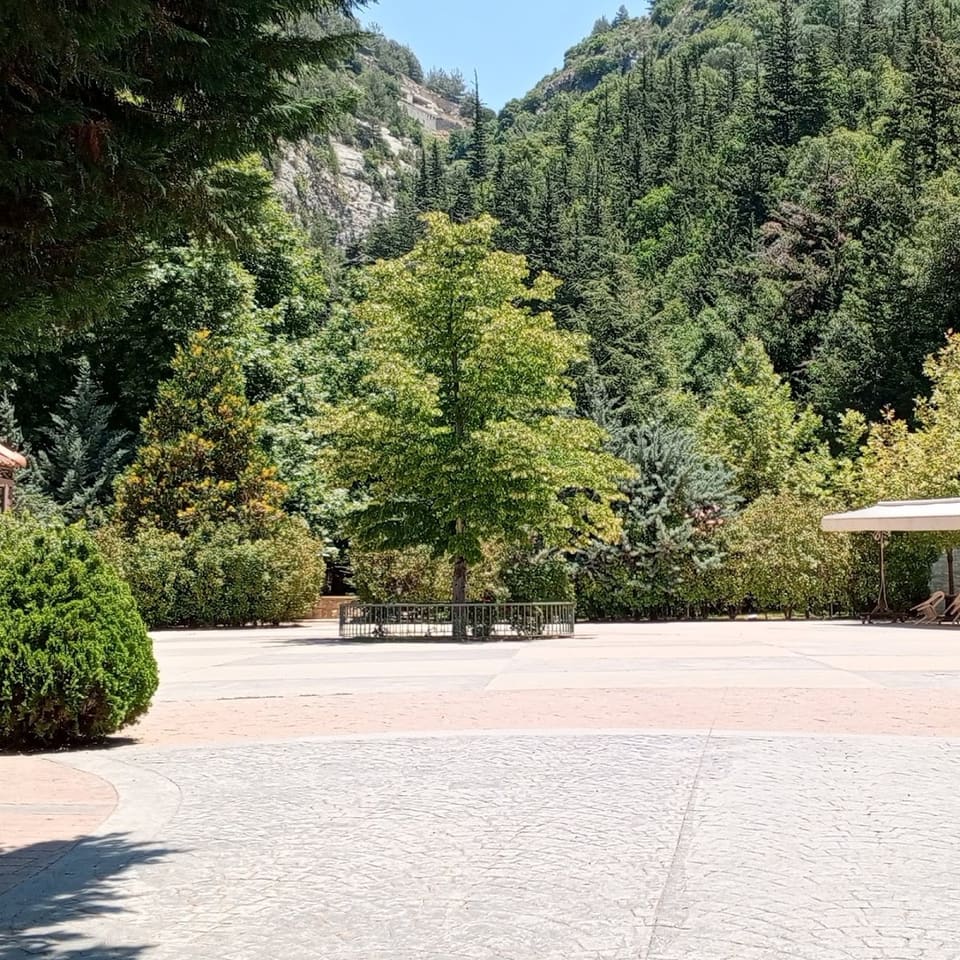 Bater's Garden