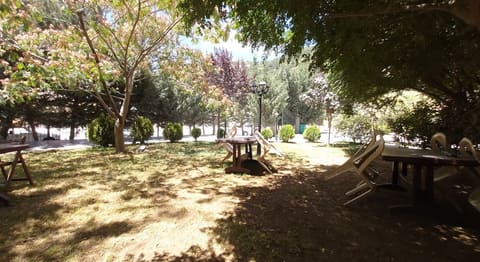 Bater's Garden — photograph 4