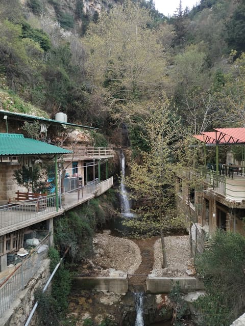 Café — photograph 2