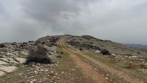 Shouf biosphere reserve-jbaa entrance — photograph 6
