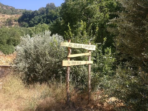 Al ghaba camping — photograph 4