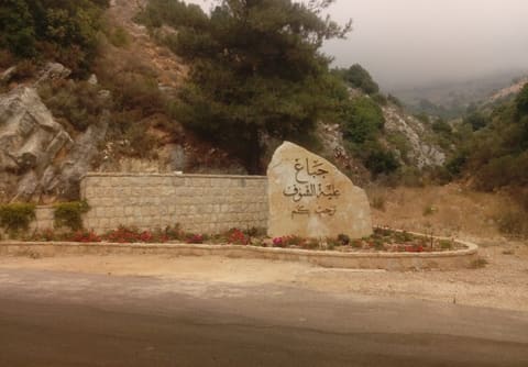Jbaâ — photograph 2