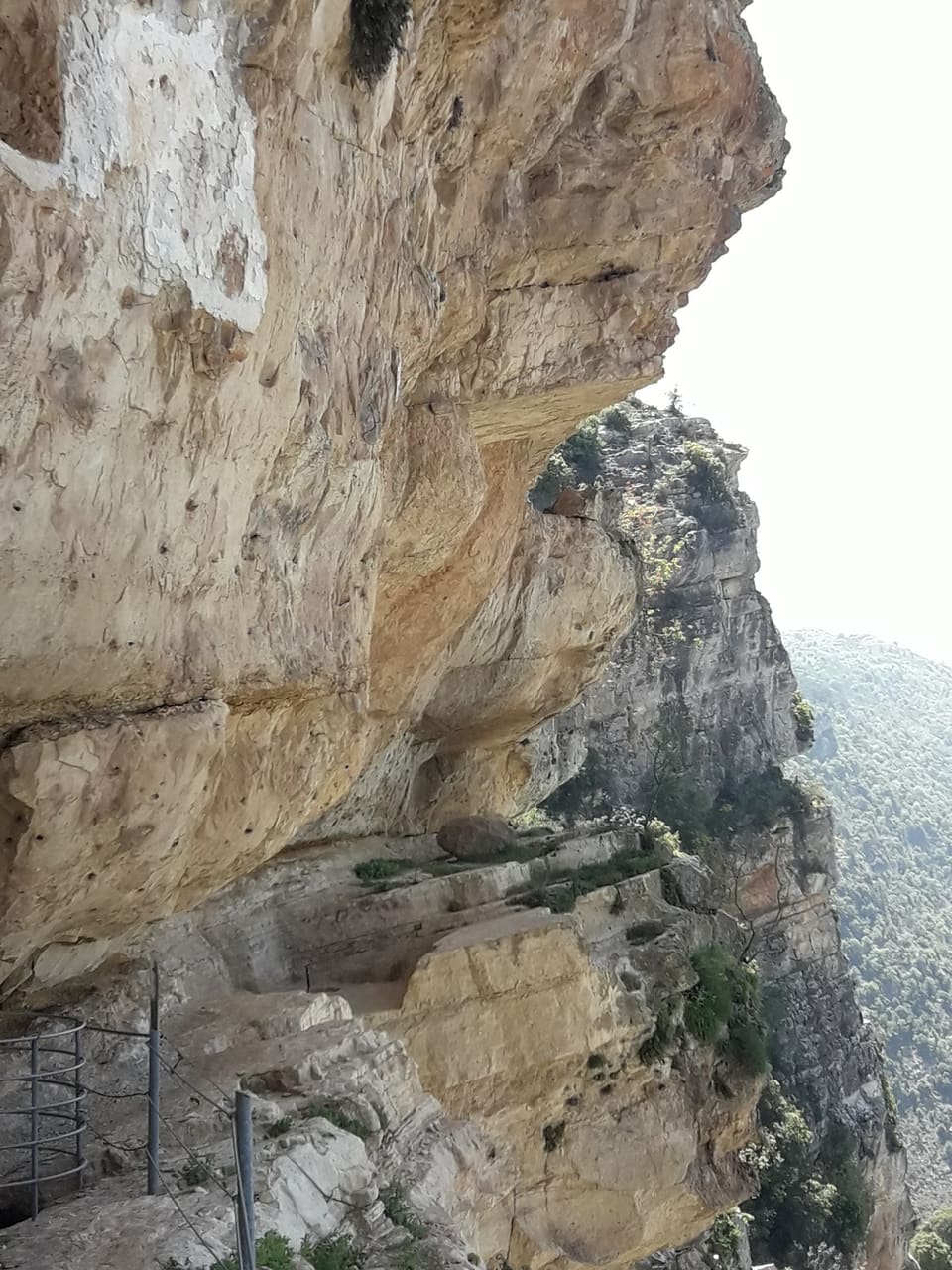 Shouf Biosphere Reserve /Niha Fortress