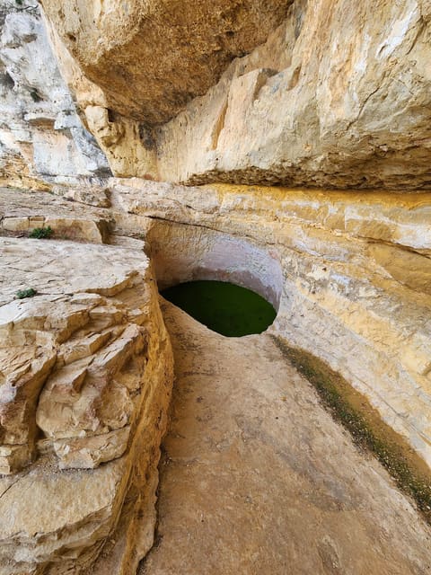 Shouf Biosphere Reserve /Niha Fortress — photograph 3