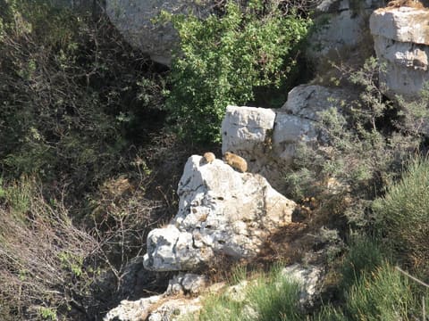 Shouf Biosphere Reserve /Niha Fortress — photograph 5