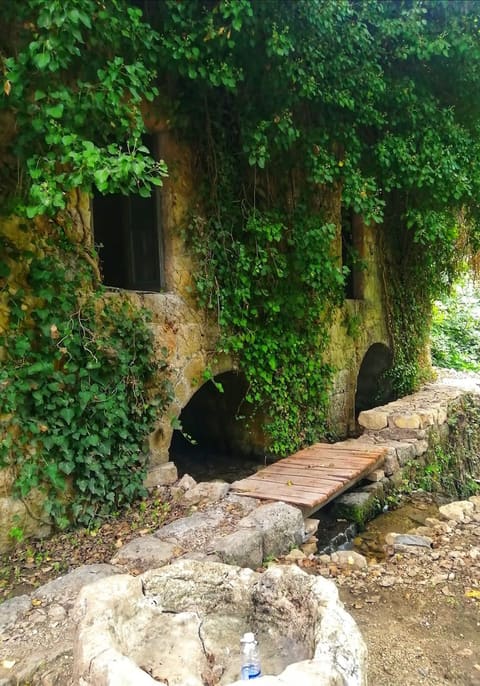 Bater Historical Mill — photograph 3