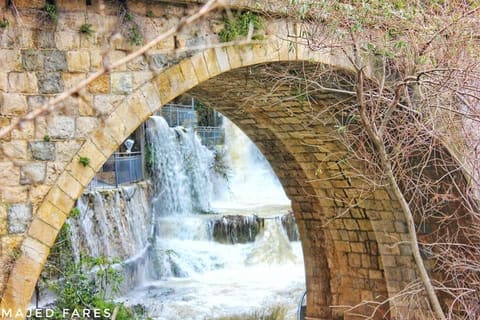 Bater Mountain's Spring Water - Nabaa Bater — photograph 4