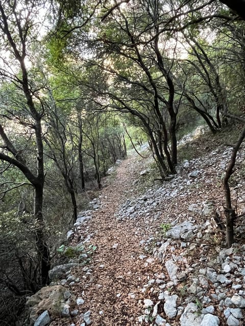 Chnaniir Nature Reserve — photograph 3