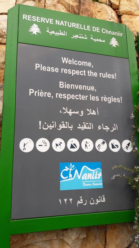 Chnaniir Nature Reserve — photograph 5