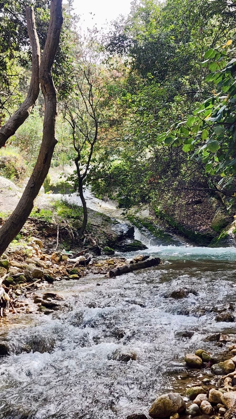 Ghazir Valley