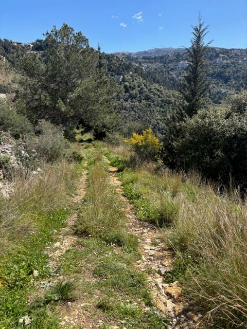 Sentier des sources Boucle Nord — photograph 2