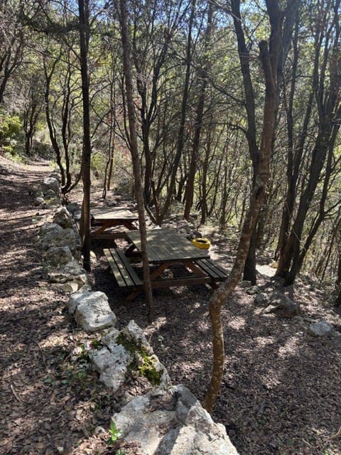 Sentier des sources Boucle Nord — photograph 3