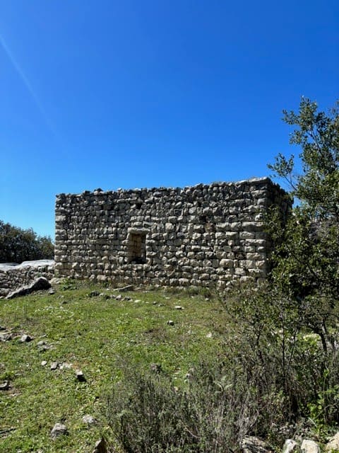 Sentier des sources Boucle Nord — photograph 4