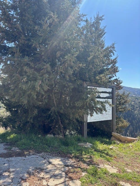 Sentier des sources Boucle Nord — photograph 6