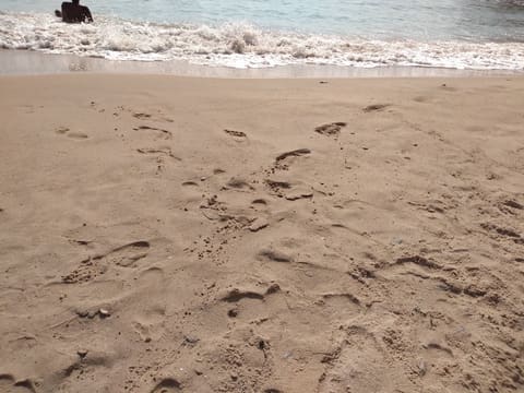 Sunny Beach — photograph 5