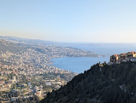 Viewpoint — photograph 2