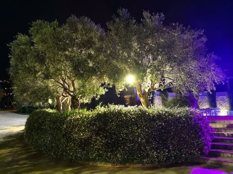 Jardin des Oliviers — photograph 3