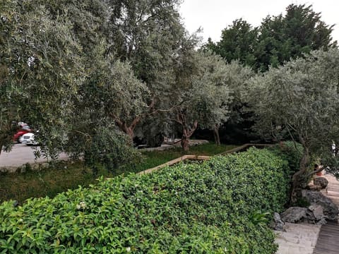 Jardin des Oliviers — photograph 6