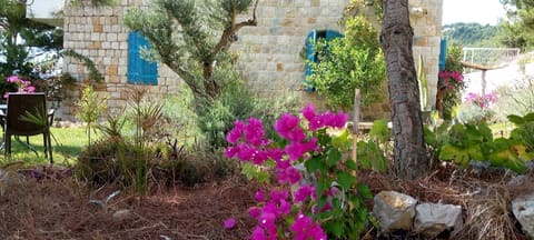 Masmakani House — photograph 2
