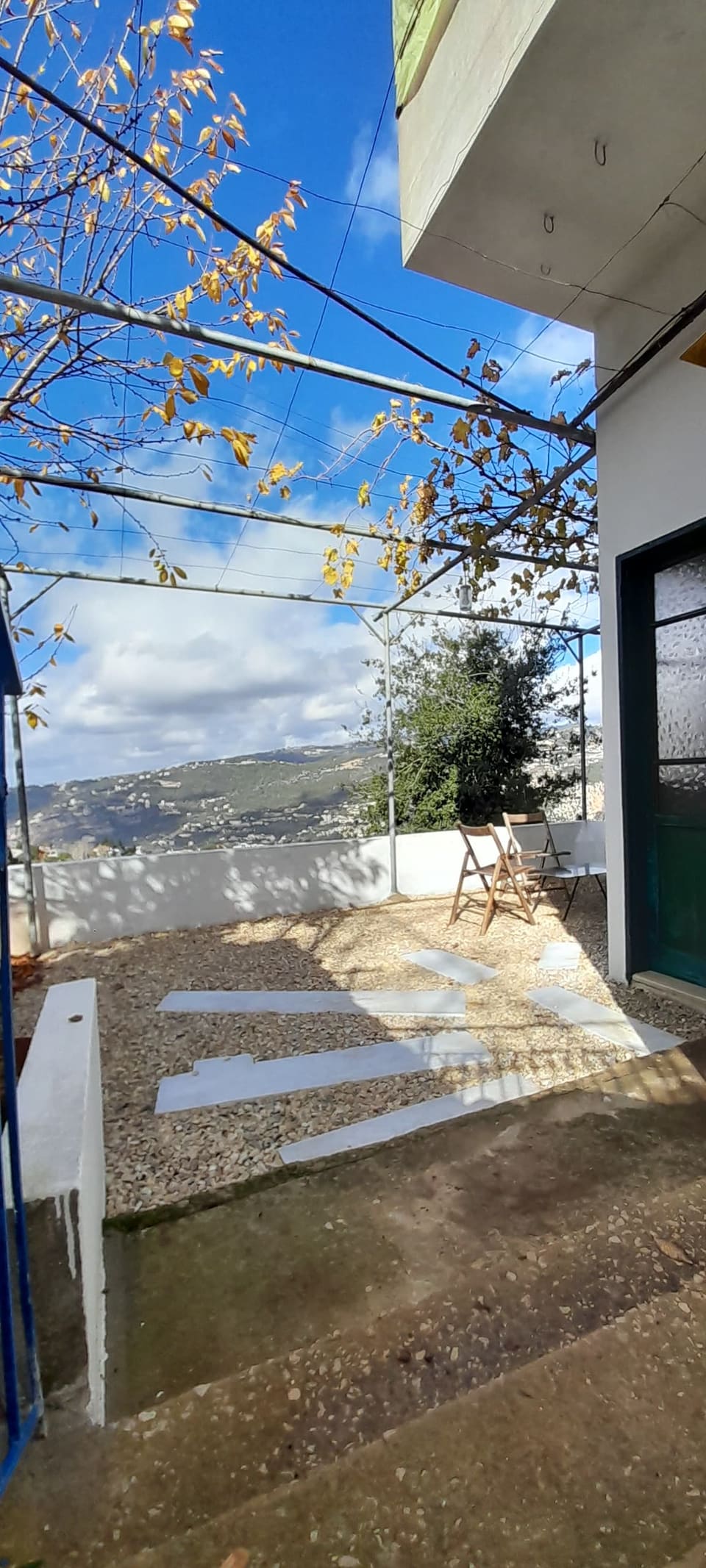 Tepora