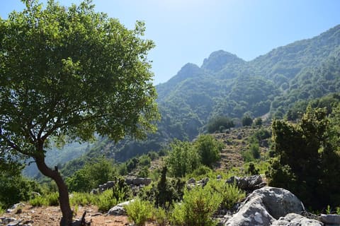Yahchouch Hike — photograph 4