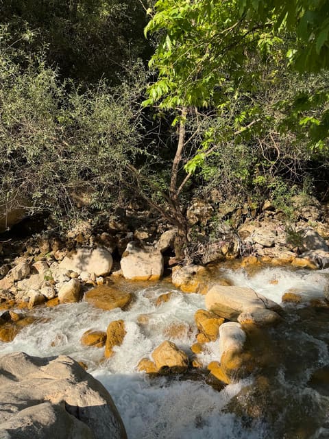 Mountazah AL WADI — photograph 2
