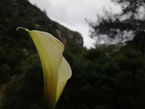 Saiid CHALHOUB Castle — photograph 6