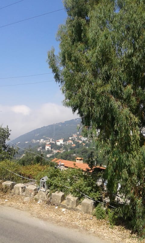 St Sarkis & Bakhos Church — photograph 4