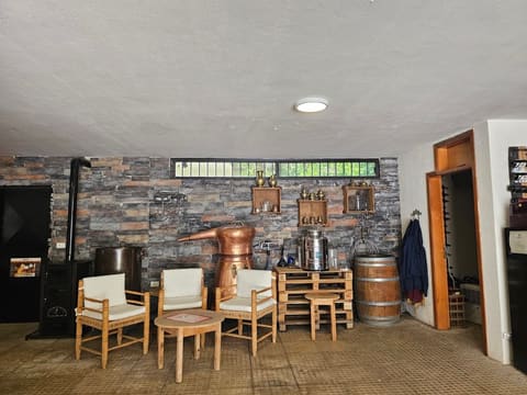 Domaine Le Toubib — photograph 2