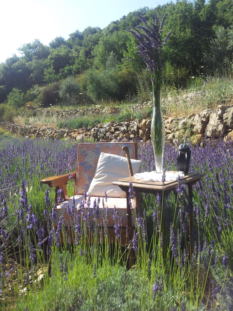 Assaf BioGarden