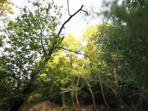 Assaf BioGarden — photograph 2