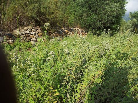 Assaf BioGarden — photograph 4