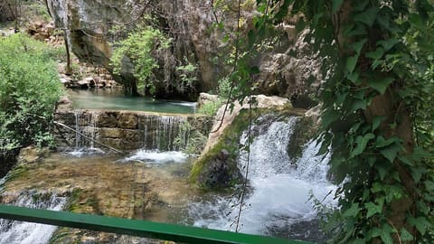 Chaghour Hamana - Restaurant — photograph 3